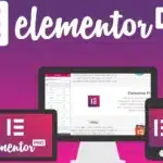 Elementor Pro