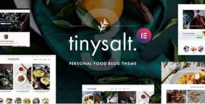 TinySalt Personal Food Blog WordPress Theme at $3.49 only