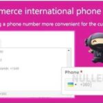 WooCommerce-international-phone-input