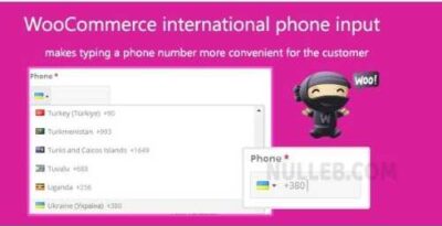 WooCommerce-international-phone-input