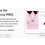 Custom-Price-for-WooCommerce-PRO-1152x420