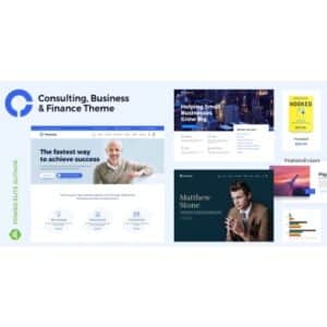 Advisero consulting wordpress theme