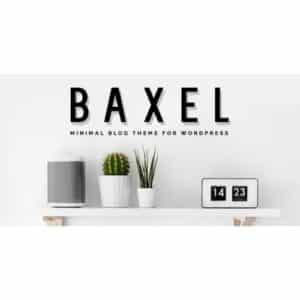 Baxel Minimal Blog Theme for WordPress