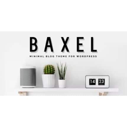 Baxel - Minimal Blog Theme for WordPress