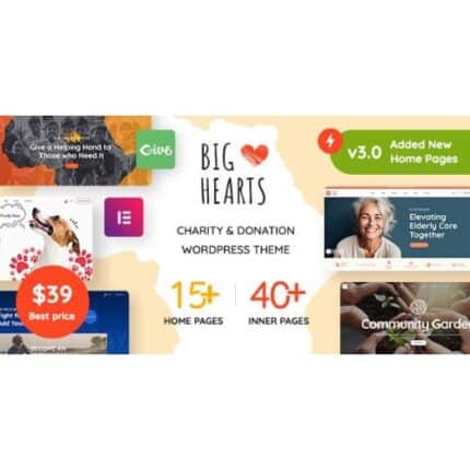 BigHearts - Charity & Donation WordPress Theme