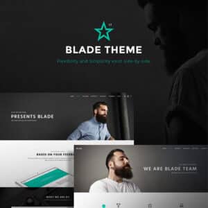 Blade – Responsive Multi Functional Theme