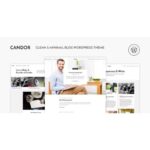Candor - Responsive WordPress Blog Theme