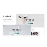 Conall - Clean Multipurpose Theme
