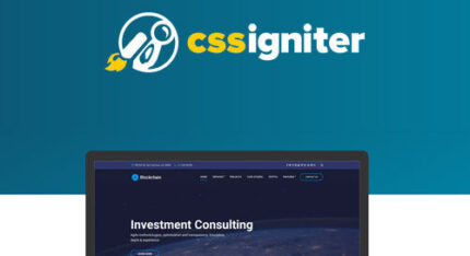 CSS Igniter Blockchain WordPress Theme