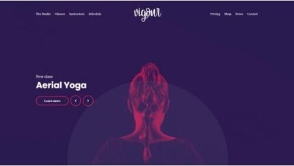 Cssignither Vigour WP Theme