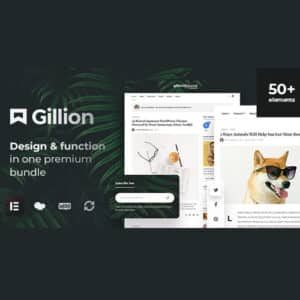 Gillion | Multi Concept Blog/Magazine & Shop WordPress AMP Theme