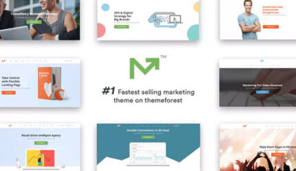 Marketing Pro – SEO WordPress Theme for SEO, Agency