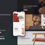 Molla | Multi-Purpose WooCommerce Theme