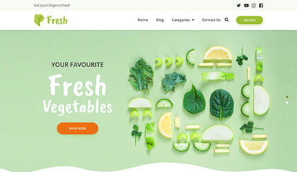 MyThemeShop Fresh WordPress Theme