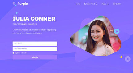 MyThemeShop Purple WordPress Theme
