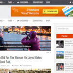 MyThemeShop TruePixel WordPress Theme