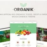 Organik - Organic Food Store WordPress Theme
