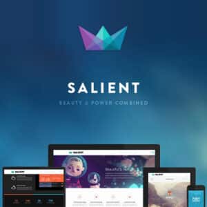 Salient – Responsive Multi Purpose Theme