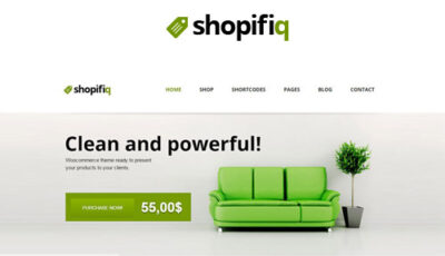 Shopifiq – Responsive WordPress WooCommerce Theme