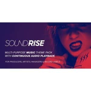 SoundRise Artists, Producers and Record Labels WordPress Theme