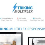 Striking MultiFlex & Ecommerce Responsive WP Theme