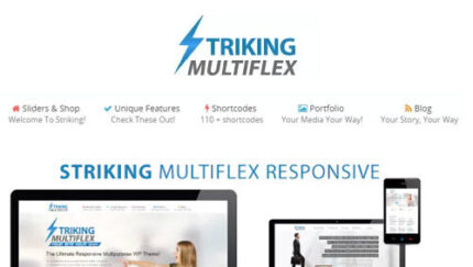 Striking MultiFlex & Ecommerce Responsive WP Theme