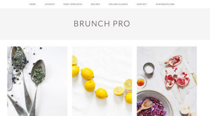 StudioPress Brunch Pro Genesis WordPress Theme