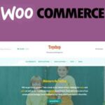 Toyshop Storefront WooCommerce Theme