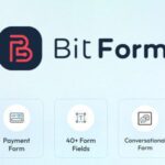 Bit form pro 2.6.5 wordpress form builder