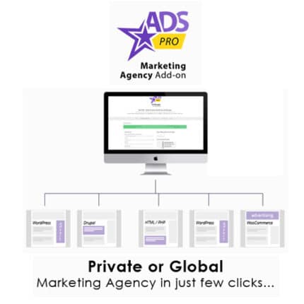 Ads pro add on – wordpress marketing agency