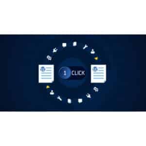 All in One WP Migration Unlimited Extension