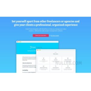 Client Portal – Project Management on WordPress