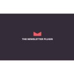 Newsletter Premium + All Addons PackAPI