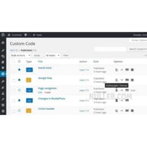 Simple Custom CSS and JS PRO