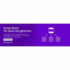 Simply Static Pro