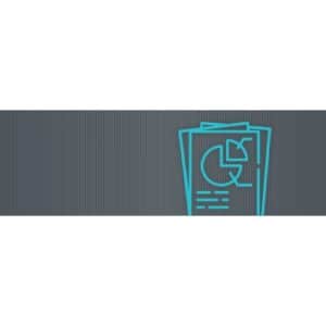 WP Client Reports Pro