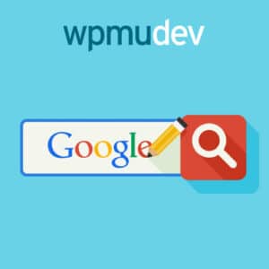 Wpmu dev custom google search
