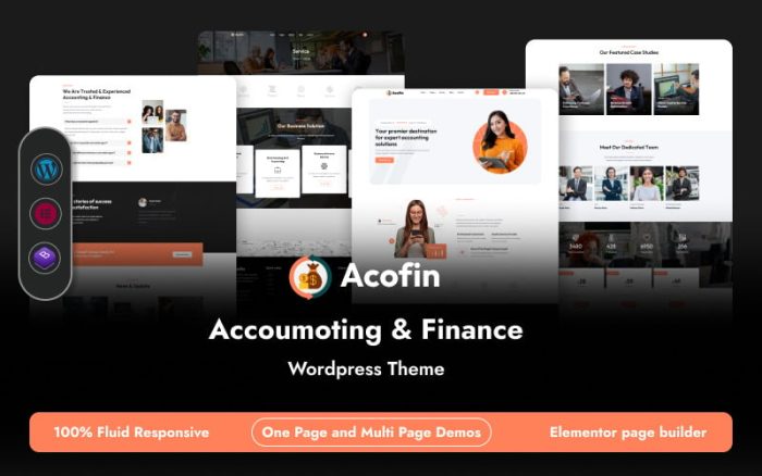 Acofin accounting finance wordpress theme.jpg