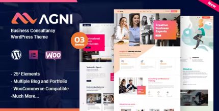 Agni business consulting codermarket.png