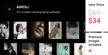 Amoli fashion photography theme codermarket.png
