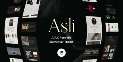 Asli ajax portfolio elementor theme codermarket.jpeg