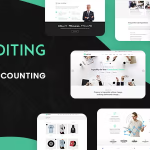 Auditing accounting consultant finance wordpress theme codermarket.png