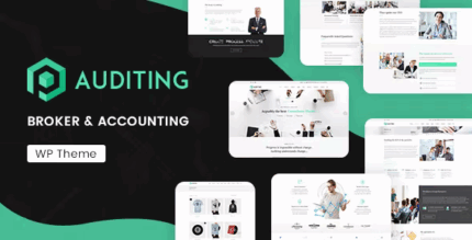 Auditing accounting consultant finance wordpress theme codermarket.png