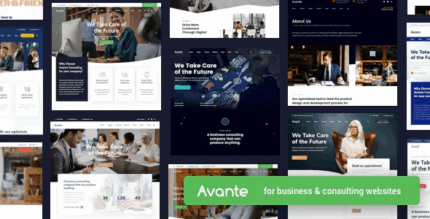 Avante business consulting wordpress codermarket.png