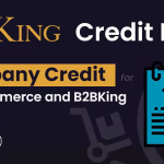B2bking company credit woocommerce line of credit system add on .png