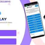 Betplay online matka betting platform with 8 games and 80 markets .png