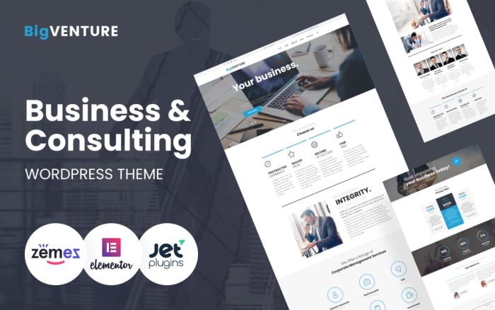 Bigventure business consulting wordpress elementor theme.jpg