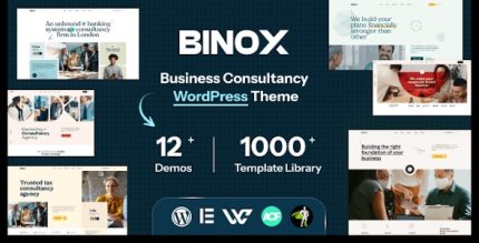 Binox business consulting theme codermarket.jpeg