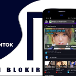 Blekok proxy browser unblock sites with facebook biding ads codermarket.png