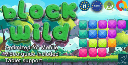 Block puzzle wild admob gdpr android studio codermarket.png